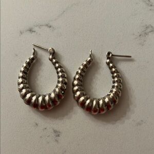 Elegant Silver Hoop Earrings